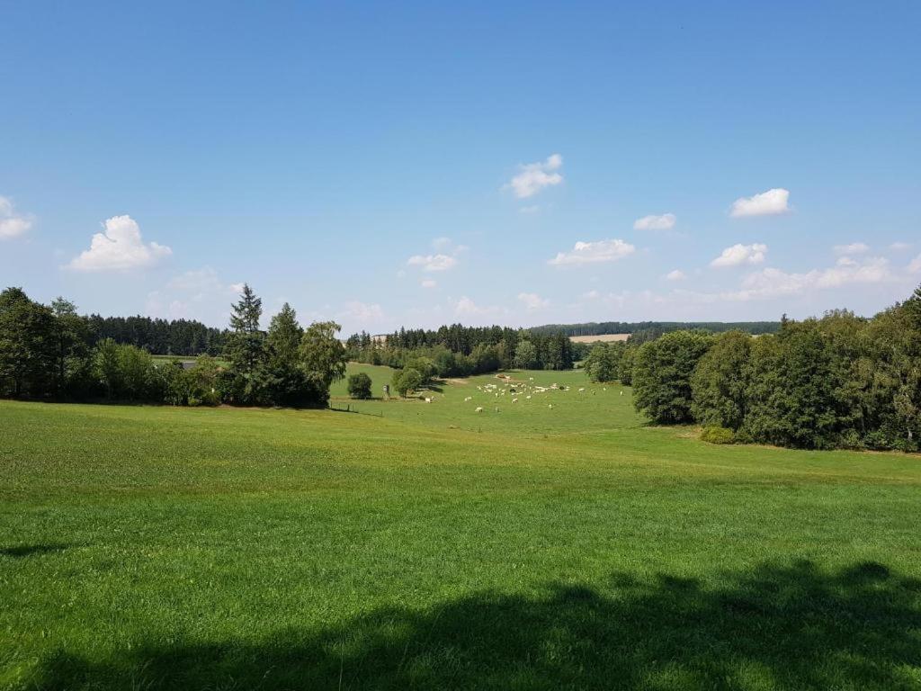 Landgasthof Gruener Baum Regnitzlosau Luaran gambar